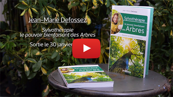 La Sylvothérapie